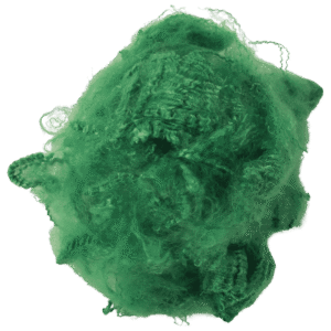 Parrot Green